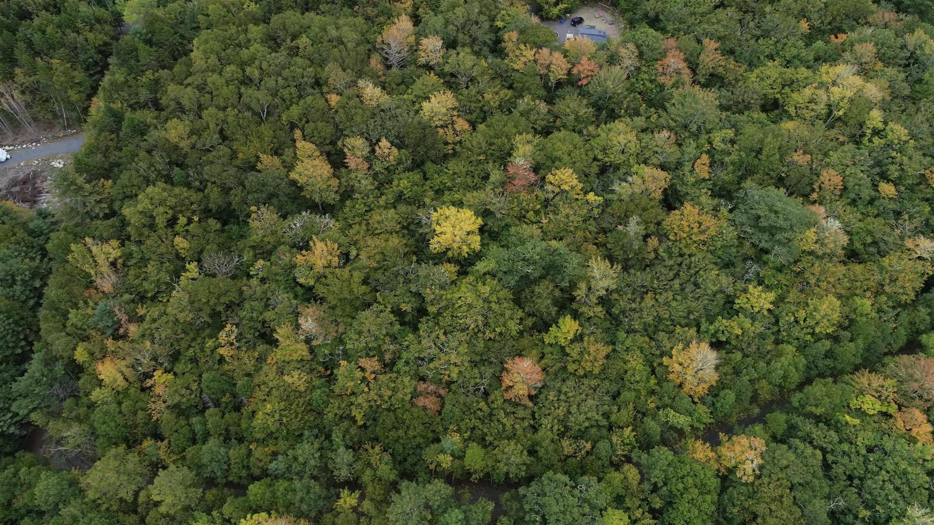 Lot 56 Ponhook View Drive, Labelle, NS