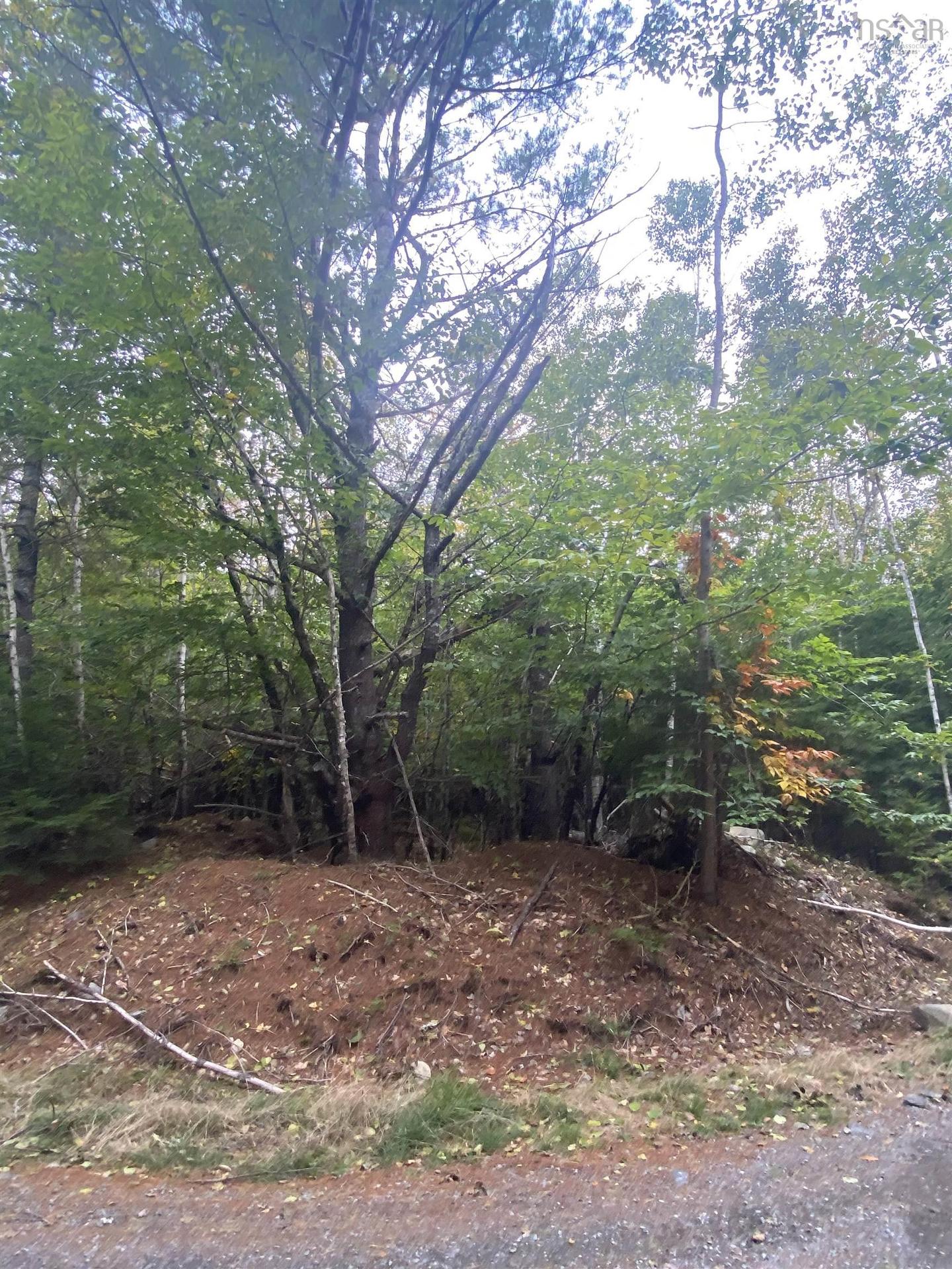 Lot 56 Ponhook View Drive, Labelle, NS