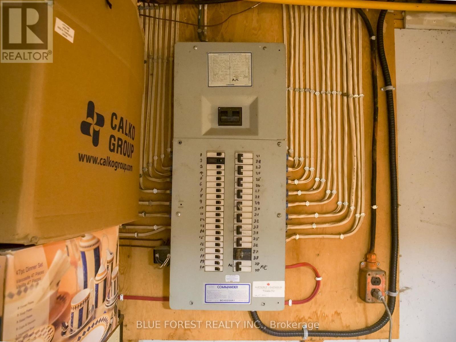183 Nancy Street, Dutton/Dunwich (Dutton), ON - Indoor Photo Showing Basement