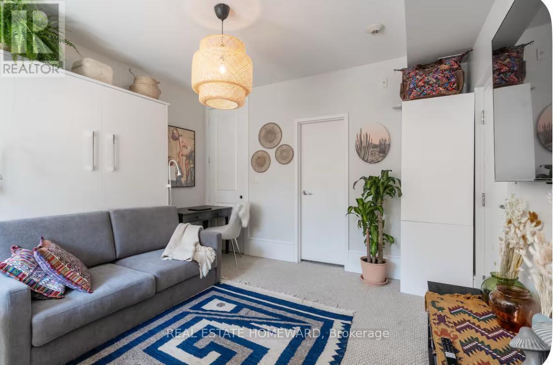 102 (Lower) - 336 Davenport Road, Toronto, ON - Indoor Photo Showing Living Room