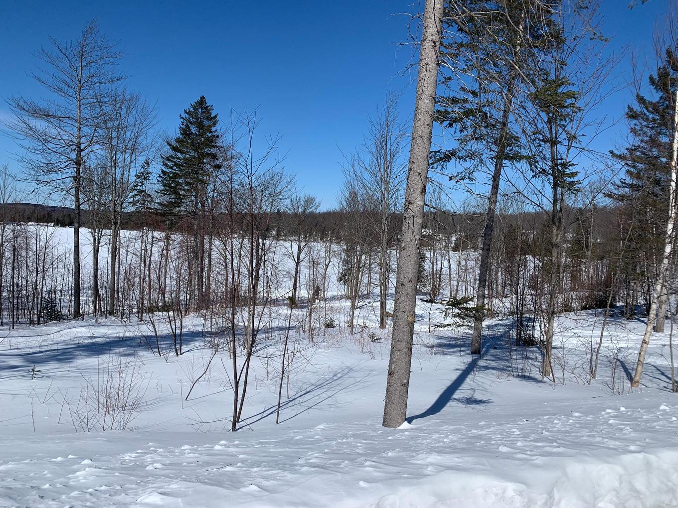Land/Lot - 103 Rue Du Lac-Sartigan, Saint-Alfred, QC