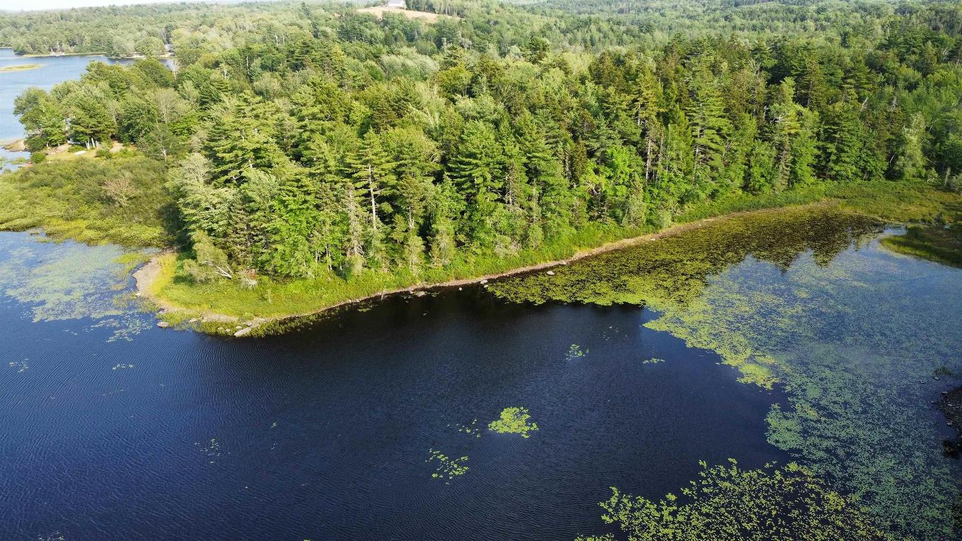 Lot Pid# 60668795 Highway 325, West Clifford, NS