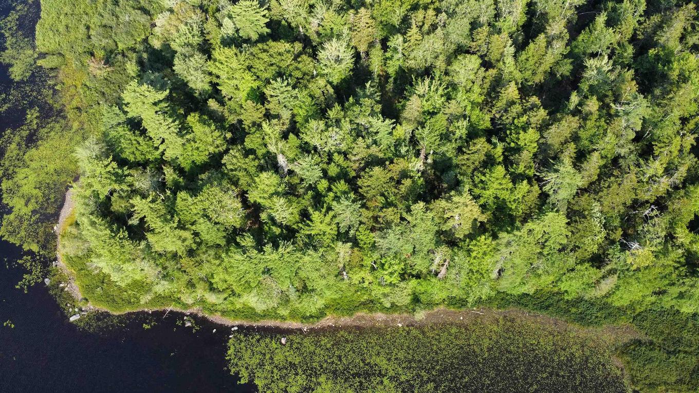 Lot Pid# 60668795 Highway 325, West Clifford, NS