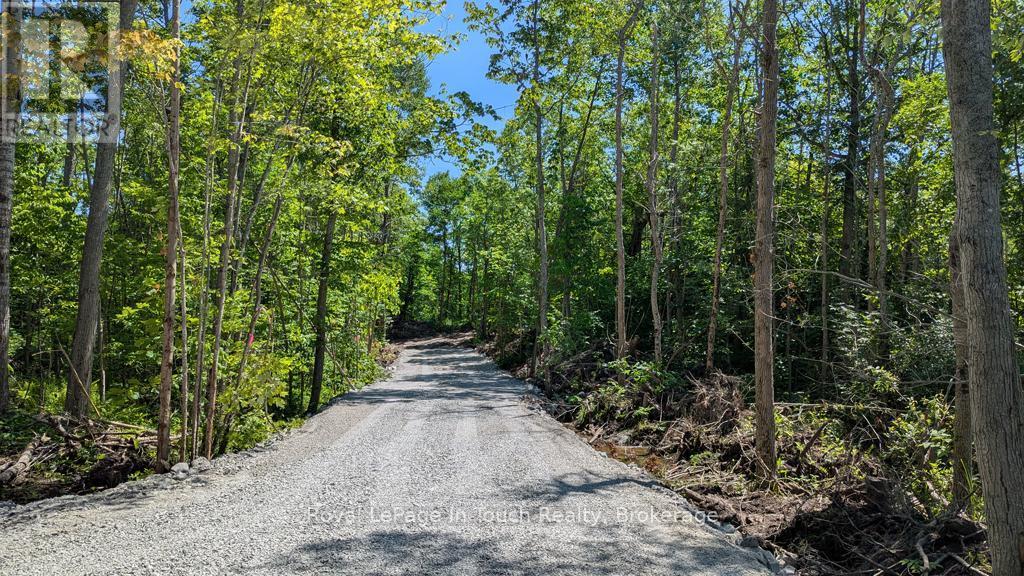 434 South Bay Road, Georgian Bay (Baxter), ON