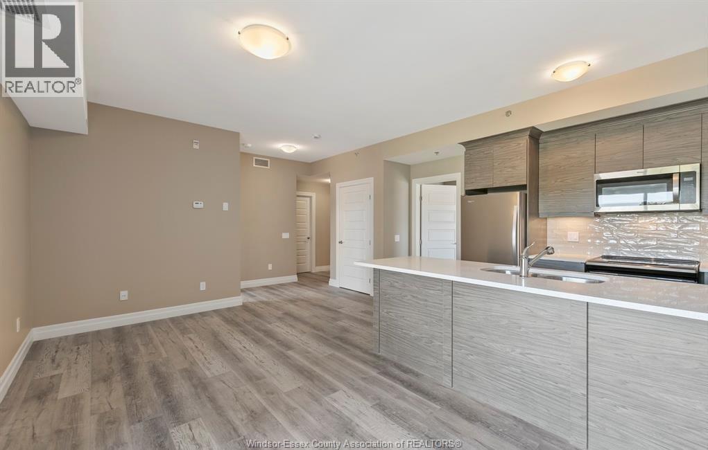 955 Ouellette Avenue Unit# 205, Windsor, ON - Indoor Photo Showing Kitchen With Double Sink