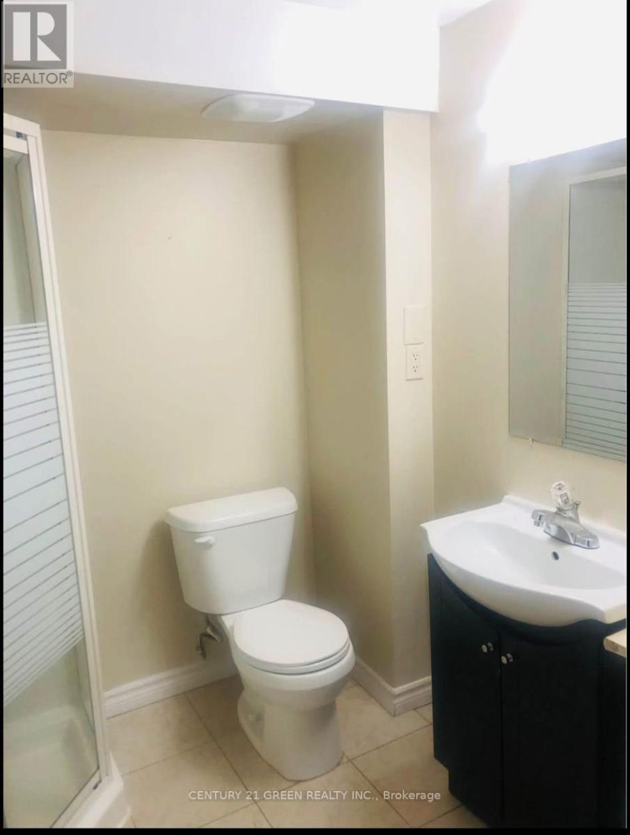 Bsmt - 5623 Whitehorn Avenue, Mississauga, ON - Indoor Photo Showing Bathroom