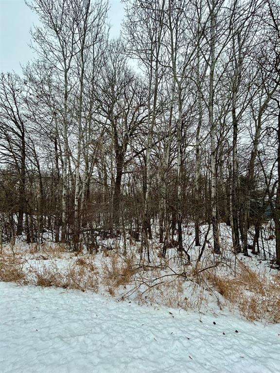 5 St Martins Bluff Drive, Carberry, MB