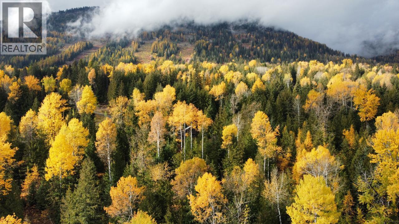 302 Ridge Road, Rossland, BC