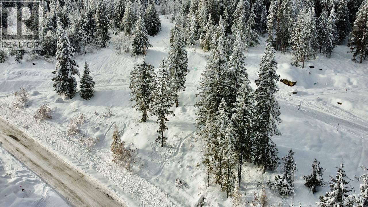 302 Ridge Road, Rossland, BC