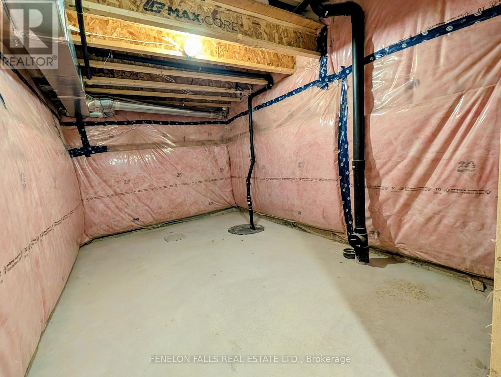 25 Hickey Lane, Kawartha Lakes (Lindsay), ON - Indoor Photo Showing Basement