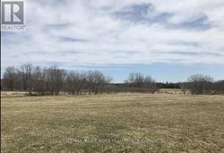 201 LISGAR STREET Brighton, ON K0K 1H0