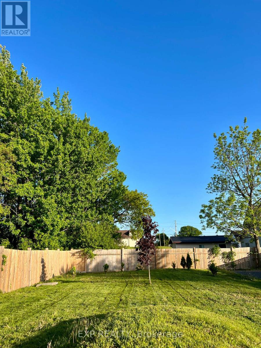 Summer backyard - 267 Station Street, Belleville (Belleville Ward), ON - Outdoor