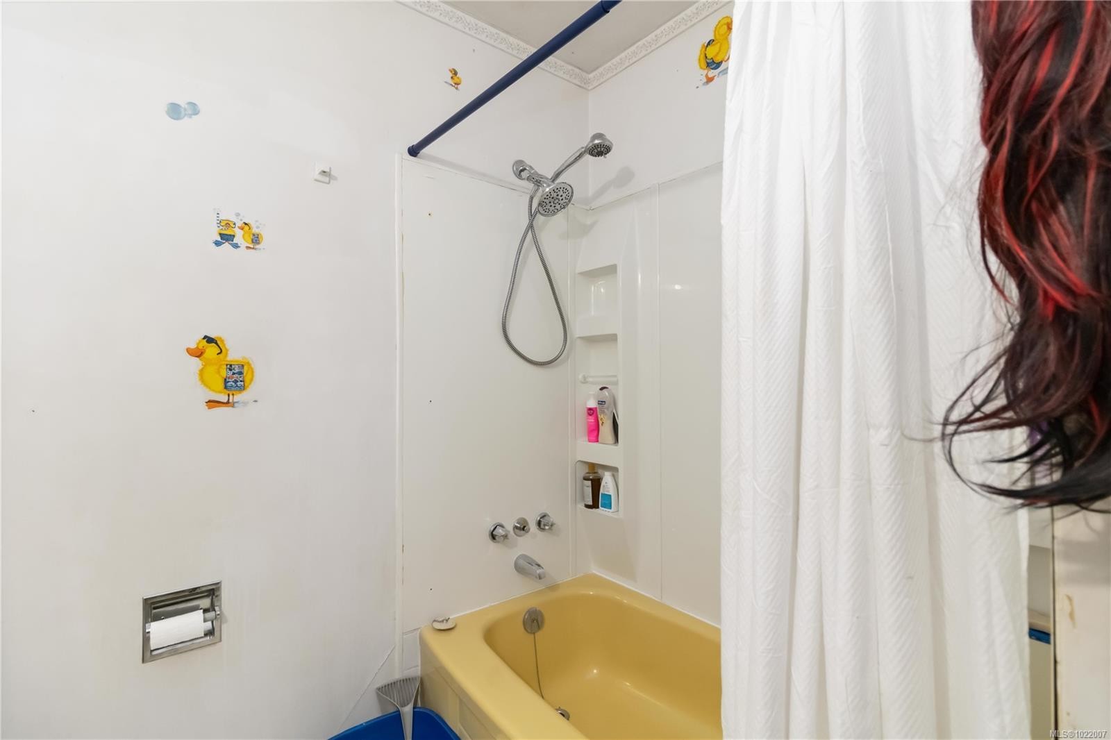 7225 Early Pl, Central Saanich, BC