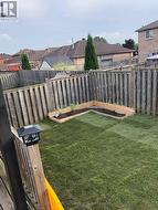 Backyard -