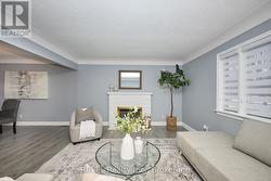 Living room fireplace -