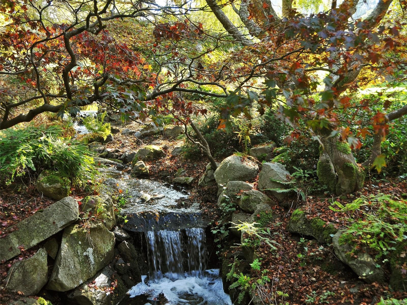 407-1115 Johnson St, Victoria, BC - Outdoor