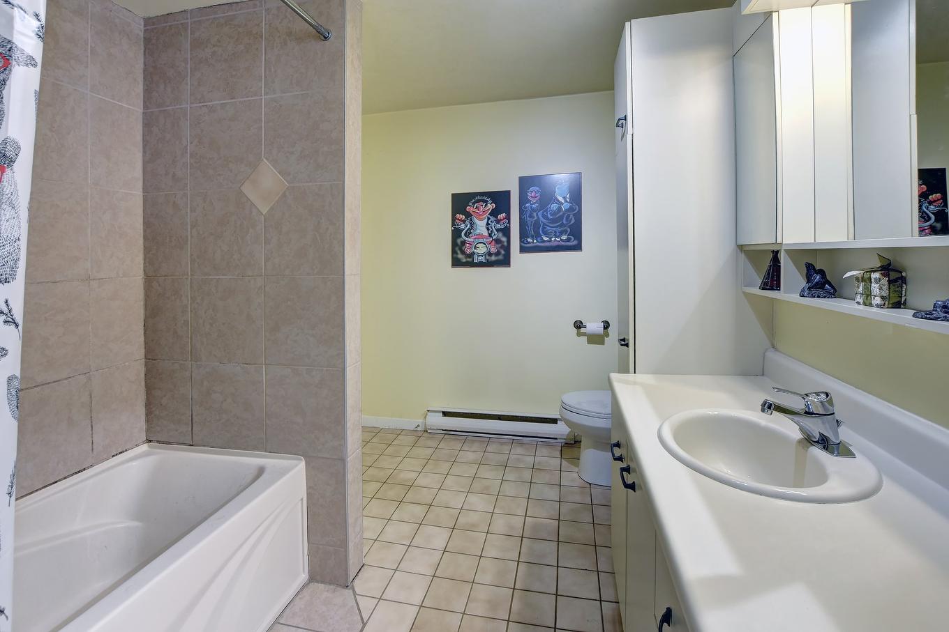 Bathroom - 148 Ch. Du Lac-Connelly, Saint-Hippolyte, QC - Indoor Photo Showing Bathroom