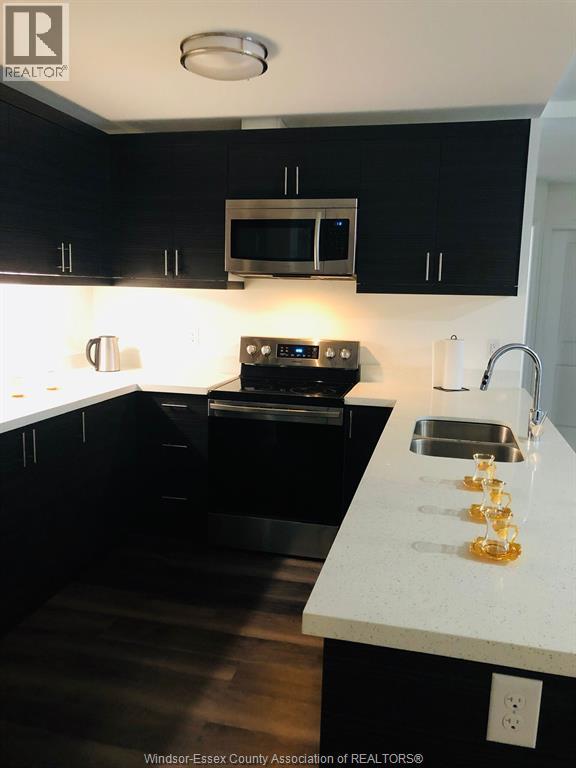 1611 Banwell Road Unit# 121, Windsor, ON - Indoor Photo Showing Kitchen With Double Sink