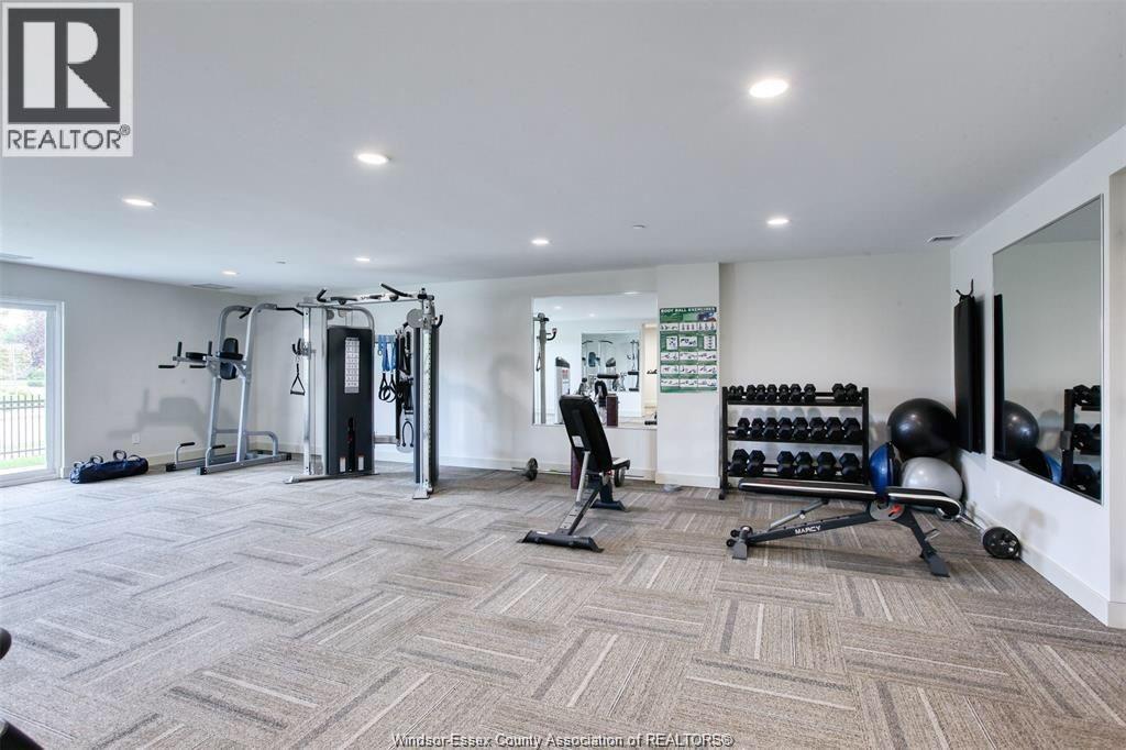 1611 Banwell Road Unit# 121, Windsor, ON - Indoor Photo Showing Gym Room