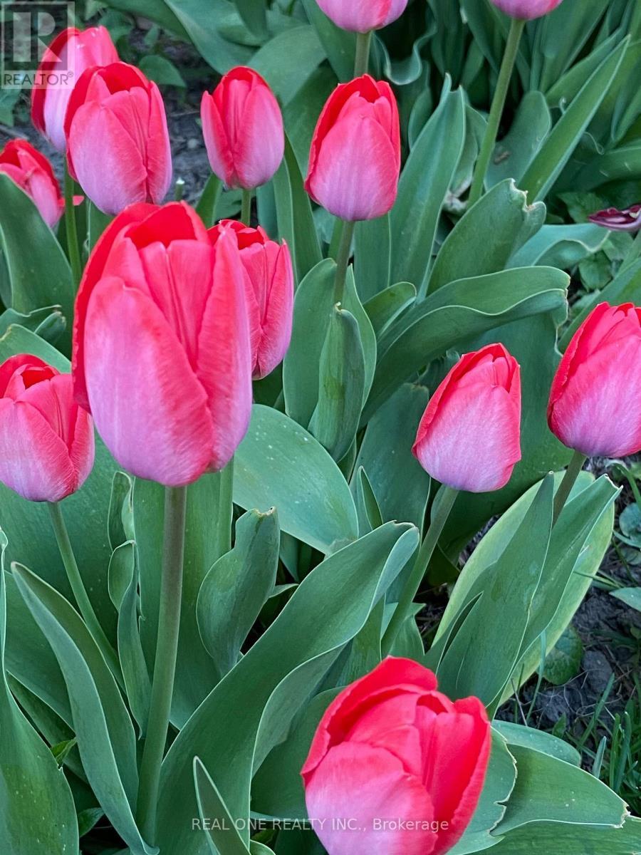 Uper Level - 22 Princeway Drive, Toronto, ON -