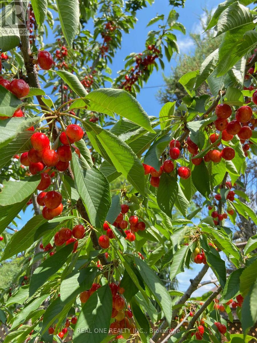 Uper Level - 22 Princeway Drive, Toronto, ON - Outdoor With View