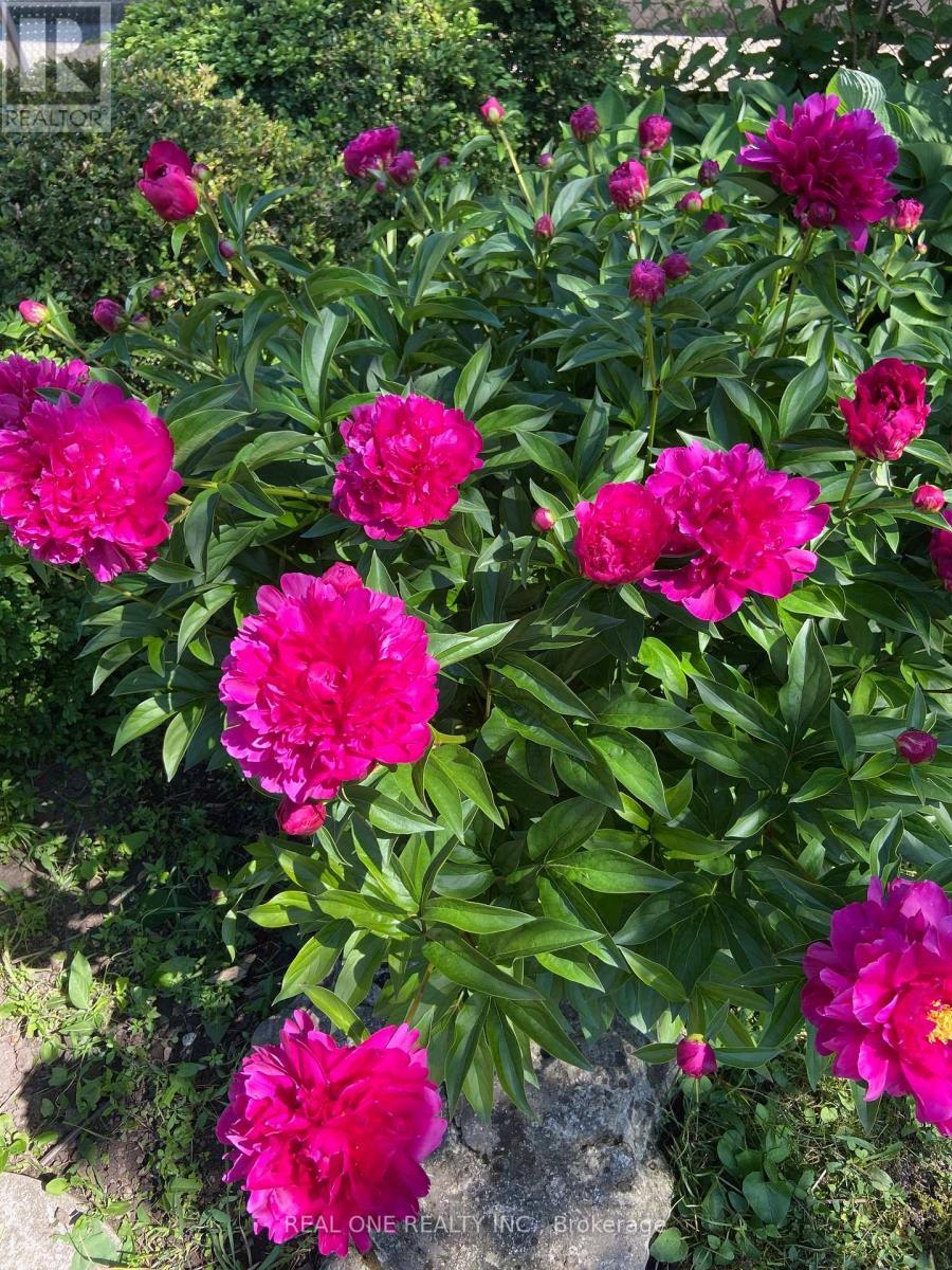 Uper Level - 22 Princeway Drive, Toronto, ON - Outdoor