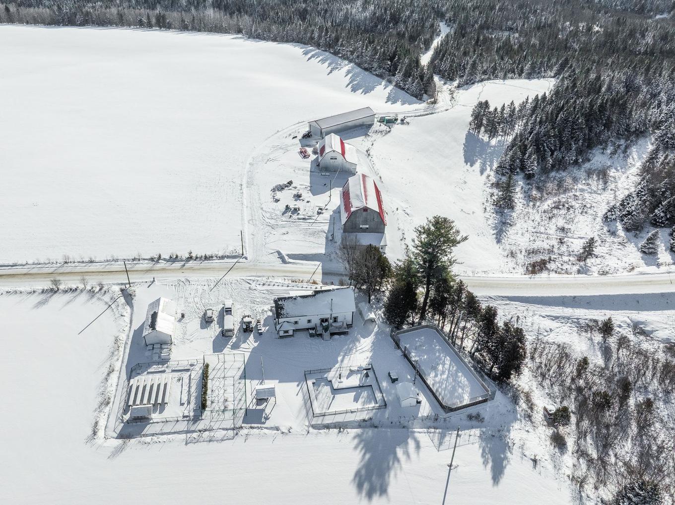 Vue d'ensemble - 231 Ch. Macaulay, Dudswell, QC