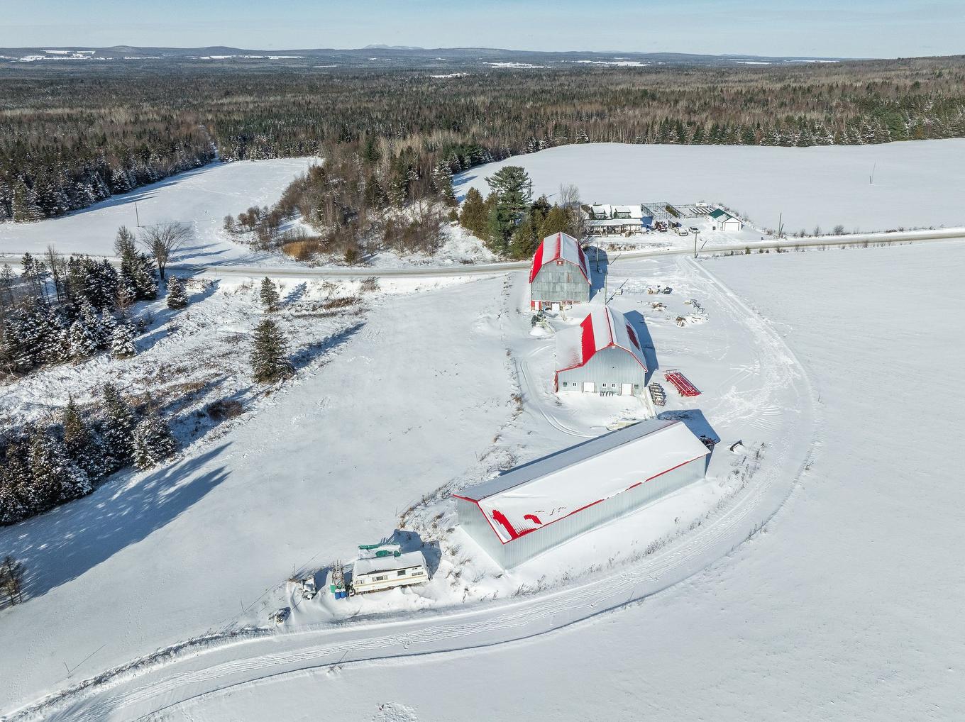 Vue d'ensemble - 231 Ch. Macaulay, Dudswell, QC
