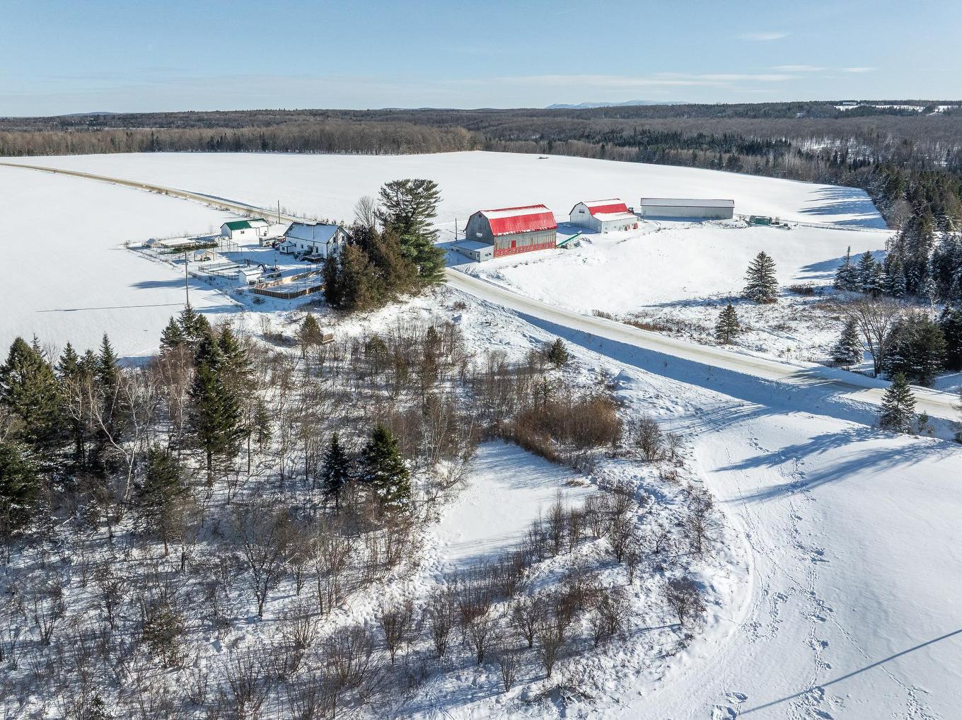 Vue d'ensemble - 231 Ch. Macaulay, Dudswell, QC