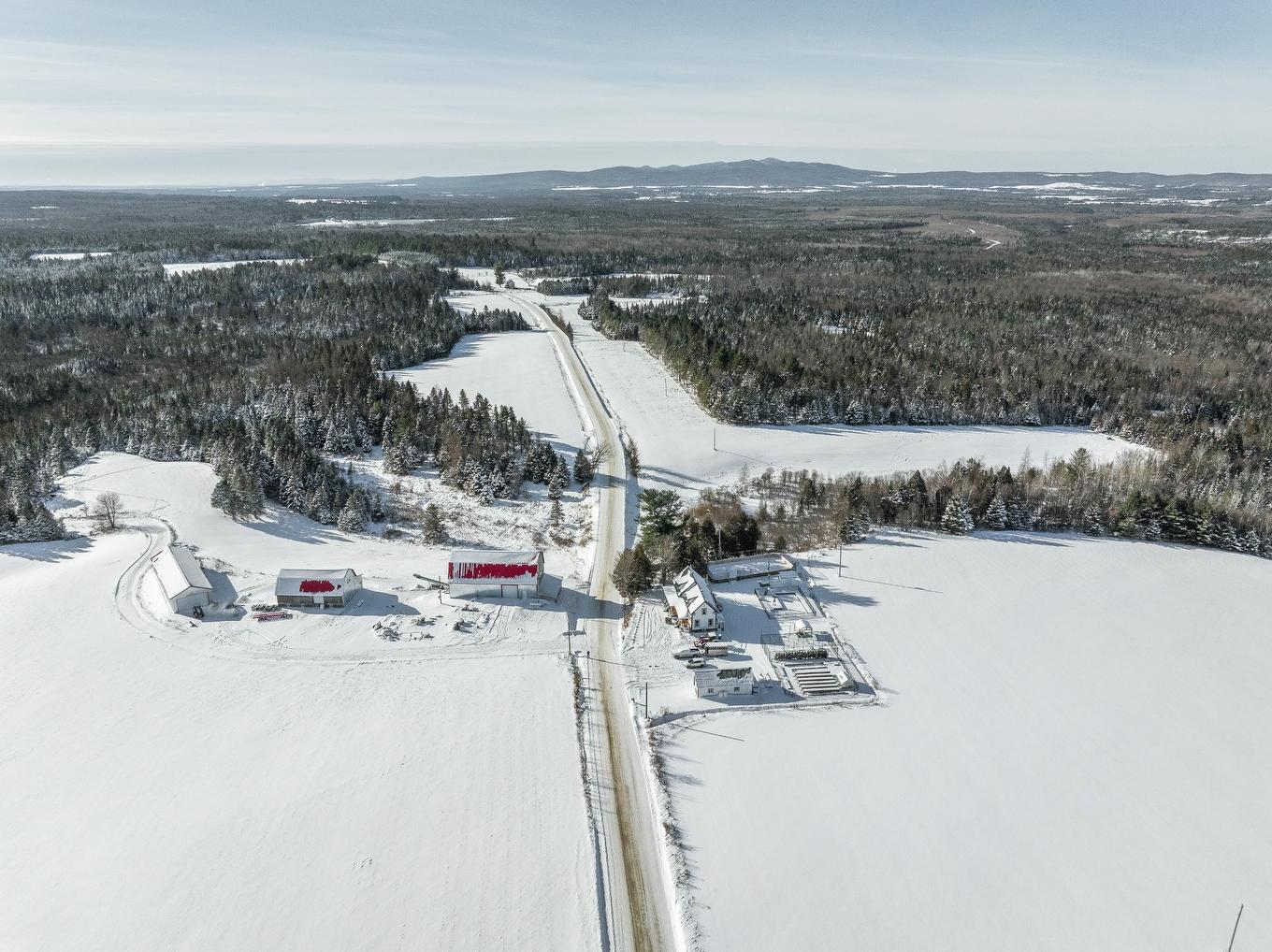 Vue d'ensemble - 231 Ch. Macaulay, Dudswell, QC