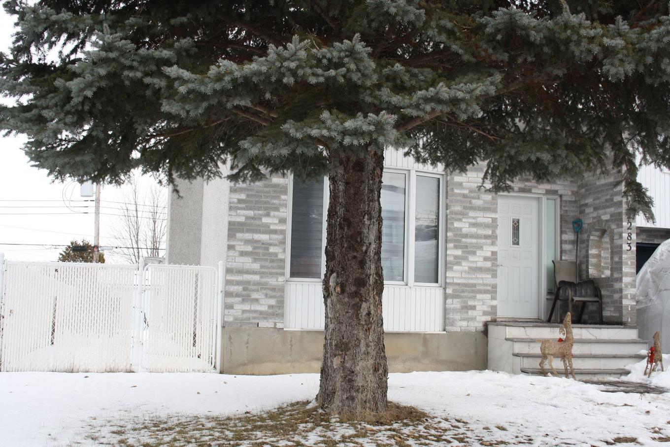 Entrée extérieure - 12283 70E Avenue, Montréal (Rivière-Des-Prairies/Pointe-Aux-Trembles), QC - Outdoor