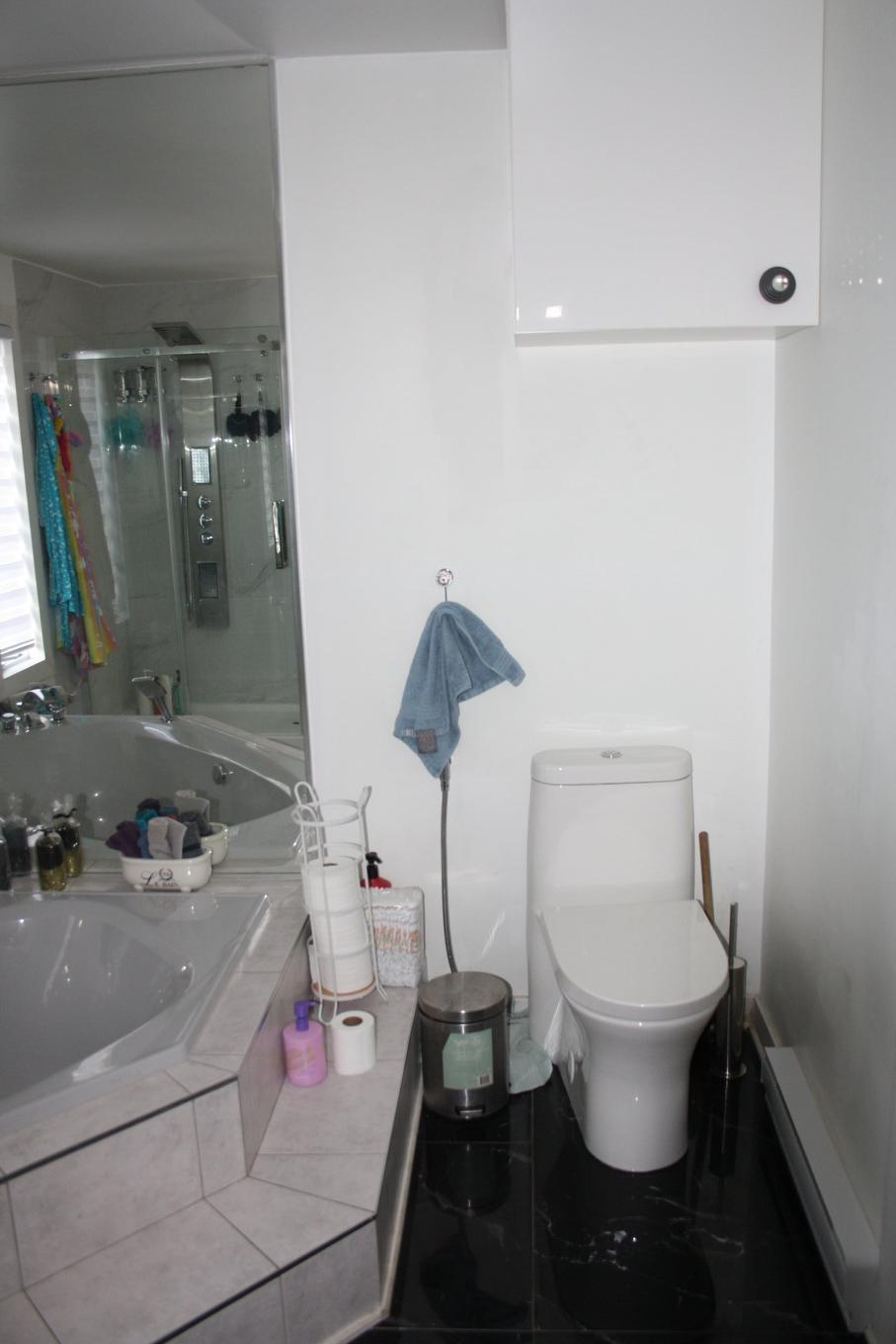 Bathroom - 12283 70E Avenue, Montréal (Rivière-Des-Prairies/Pointe-Aux-Trembles), QC - Indoor Photo Showing Bathroom