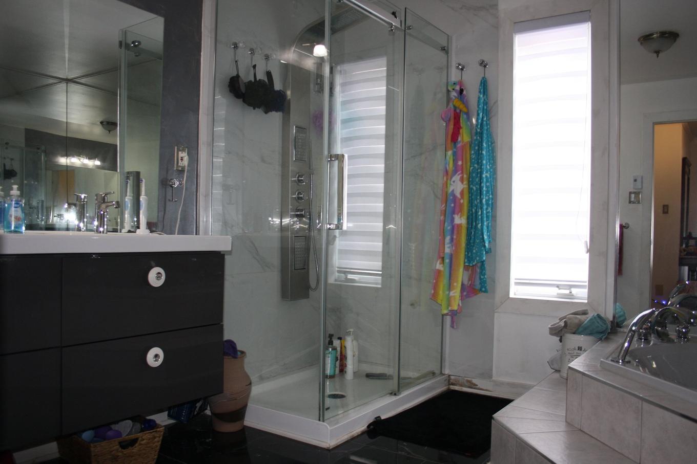 Bathroom - 12283 70E Avenue, Montréal (Rivière-Des-Prairies/Pointe-Aux-Trembles), QC - Indoor Photo Showing Bathroom