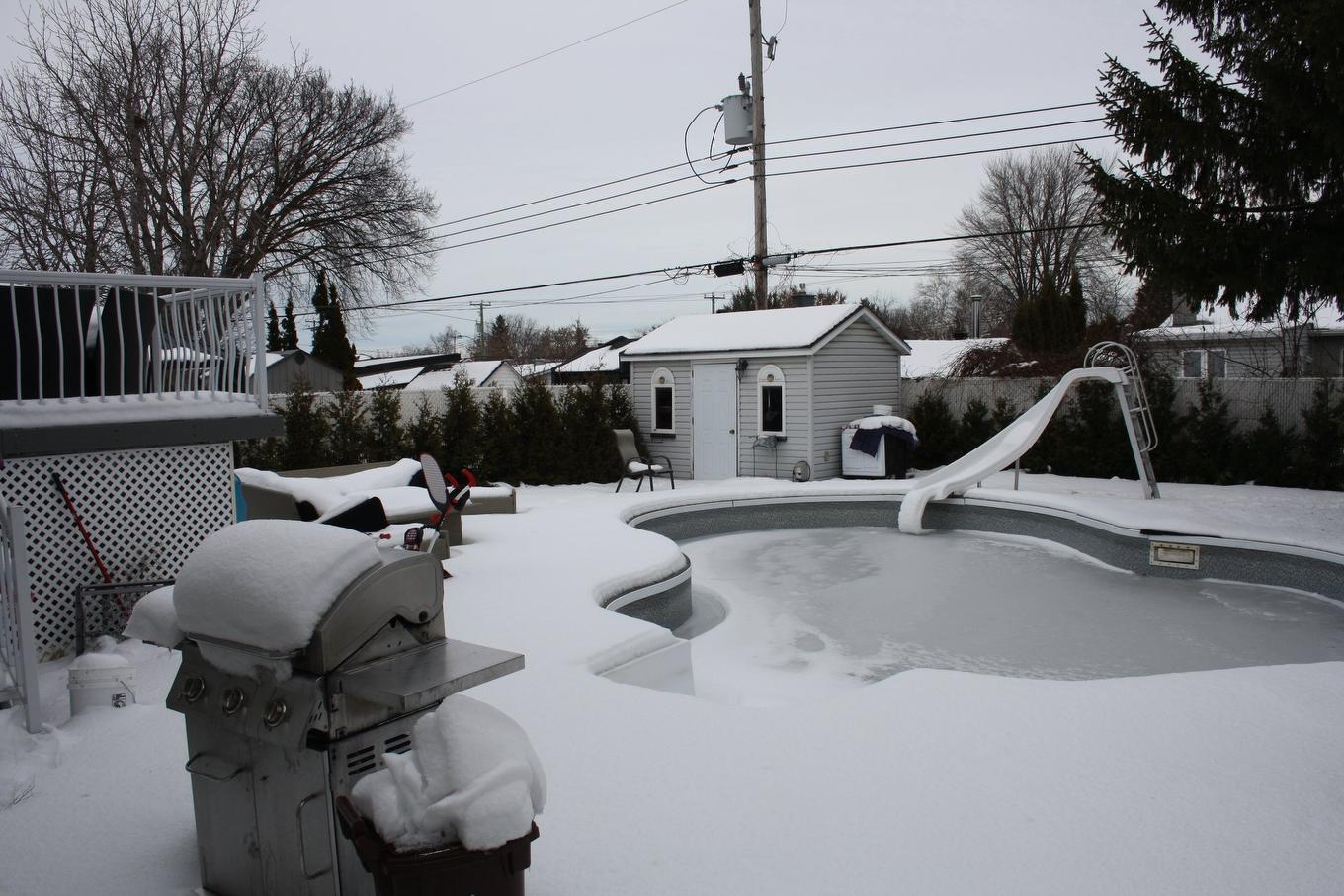 Cour - 12283 70E Avenue, Montréal (Rivière-Des-Prairies/Pointe-Aux-Trembles), QC - Outdoor