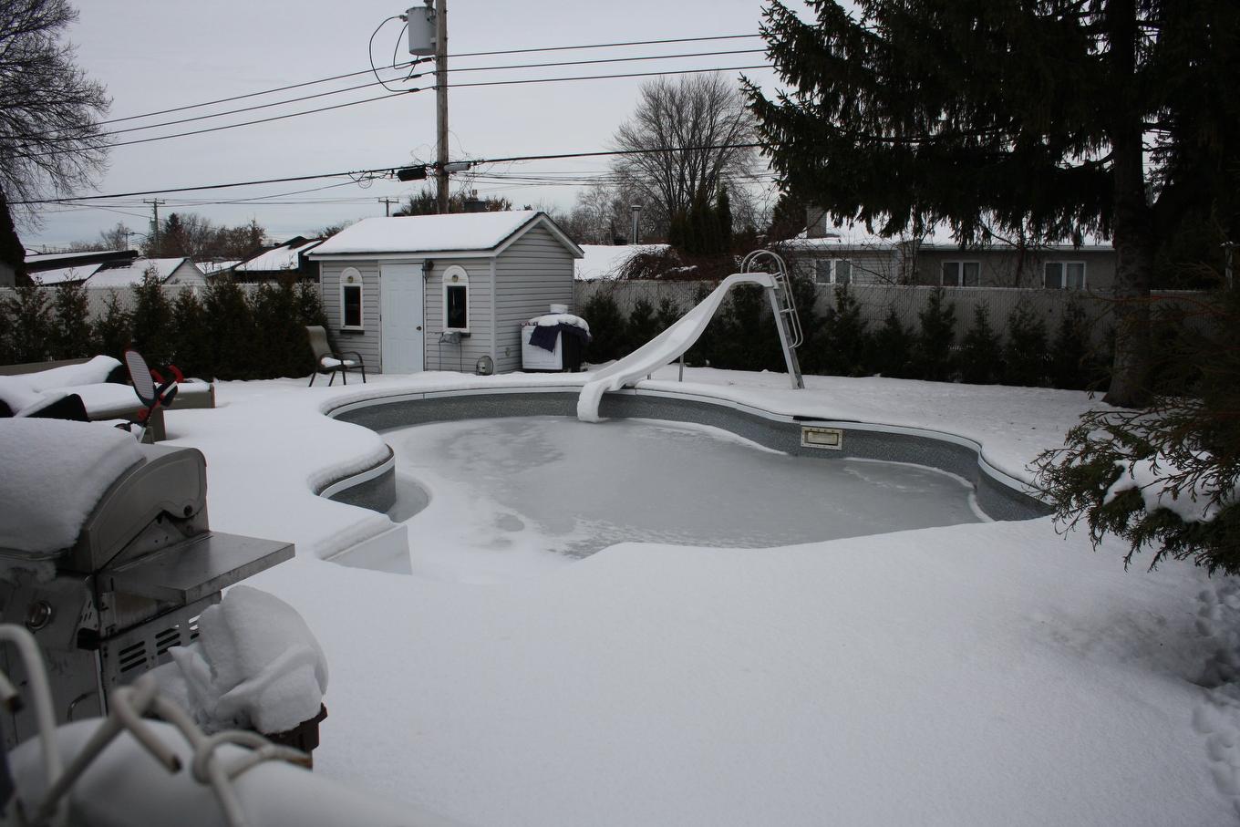 Cour - 12283 70E Avenue, Montréal (Rivière-Des-Prairies/Pointe-Aux-Trembles), QC - Outdoor