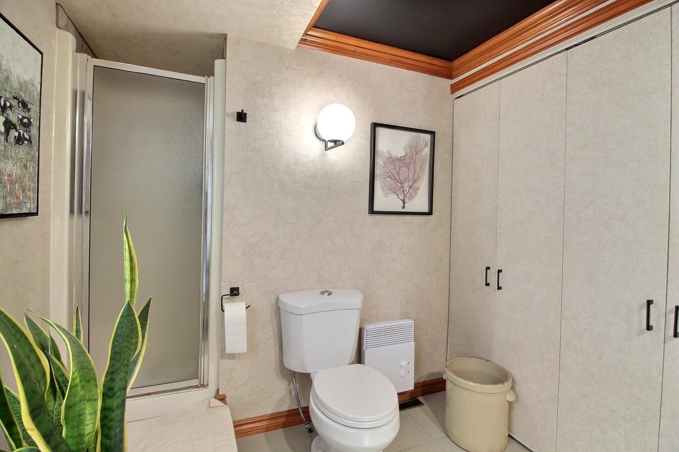 Bathroom - 512 13E Avenue, La Guadeloupe, QC - Indoor Photo Showing Bathroom