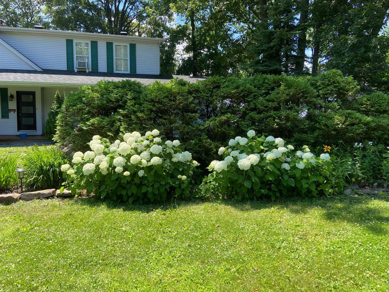 Frontage - 10 146E Avenue, Notre-Dame-De-L'Île-Perrot, QC - Outdoor