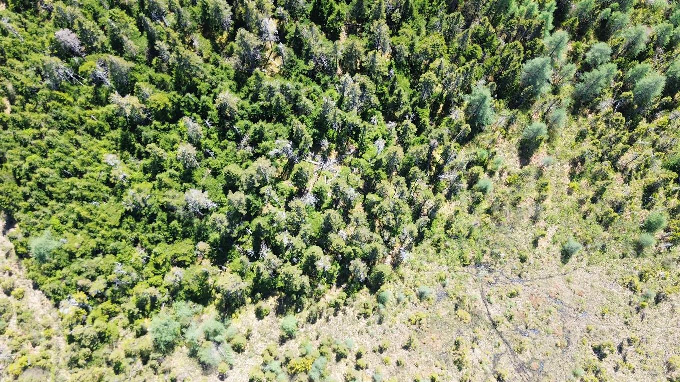 320 Highway, D'Escousse, NS