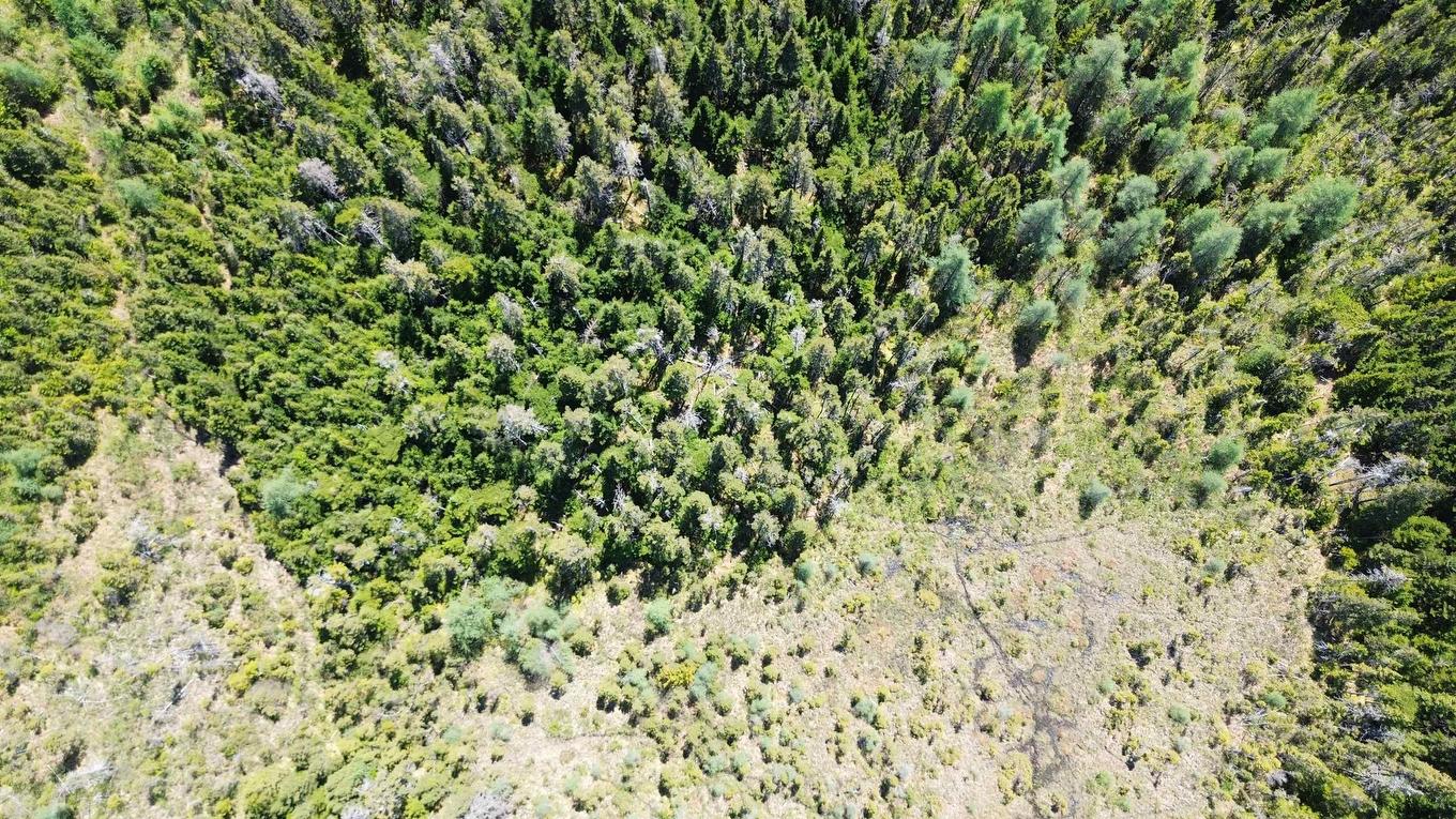 320 Highway, D'Escousse, NS