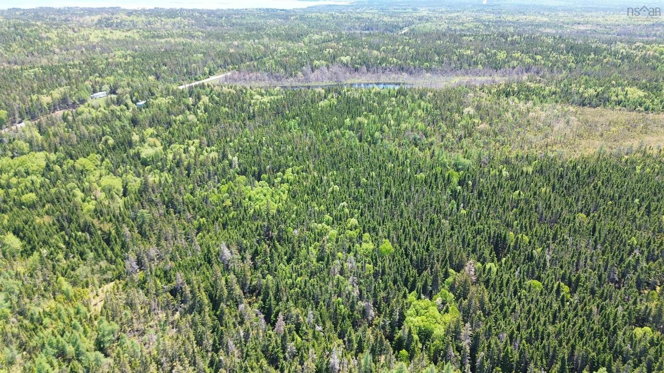 320 Highway, D'Escousse, NS