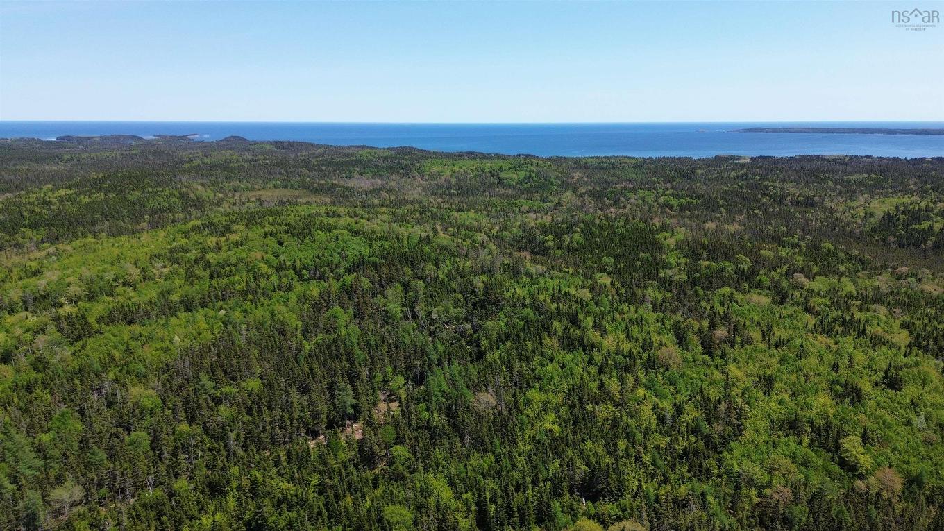 320 Highway, D'Escousse, NS