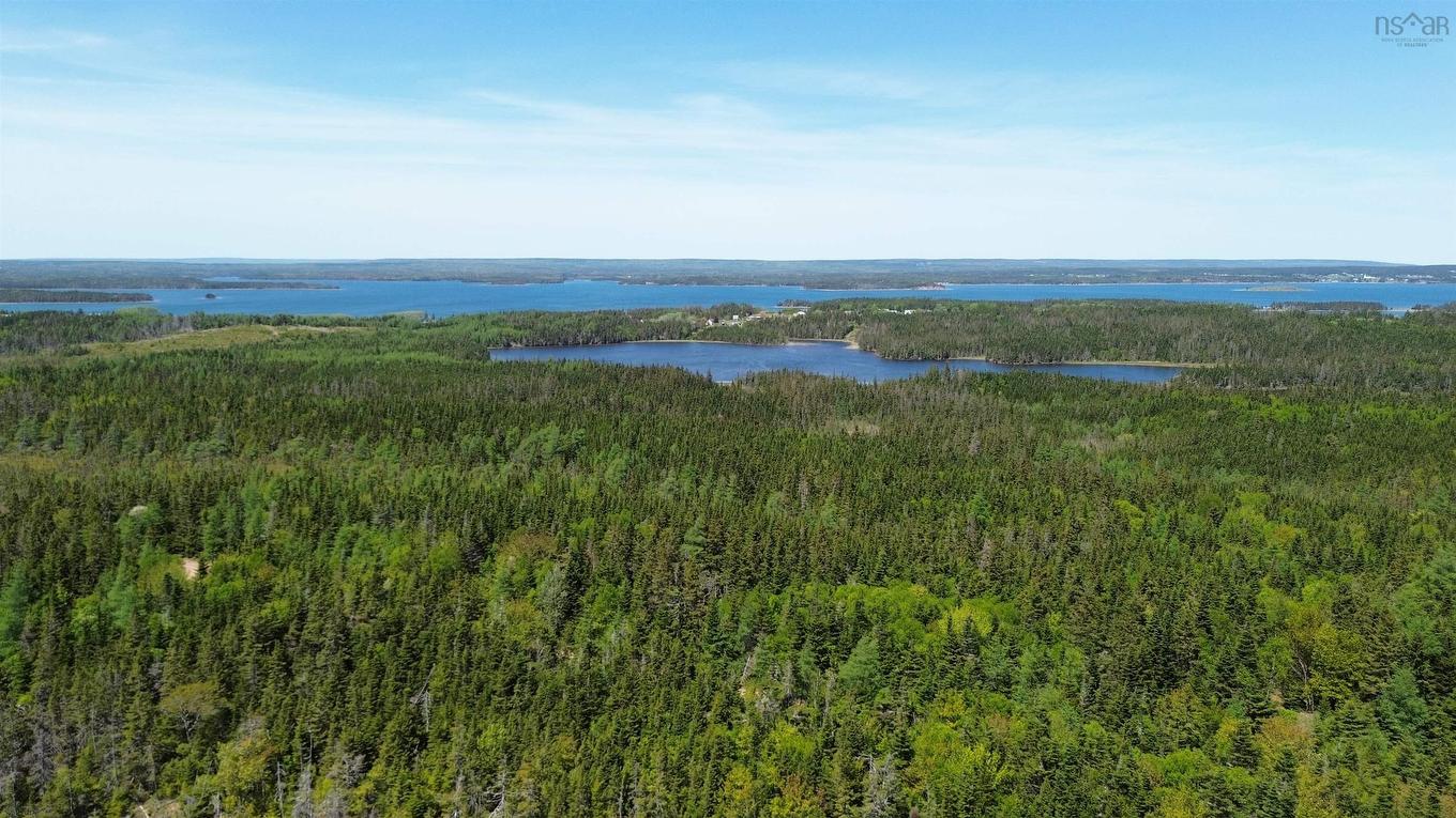 320 Highway, D'Escousse, NS