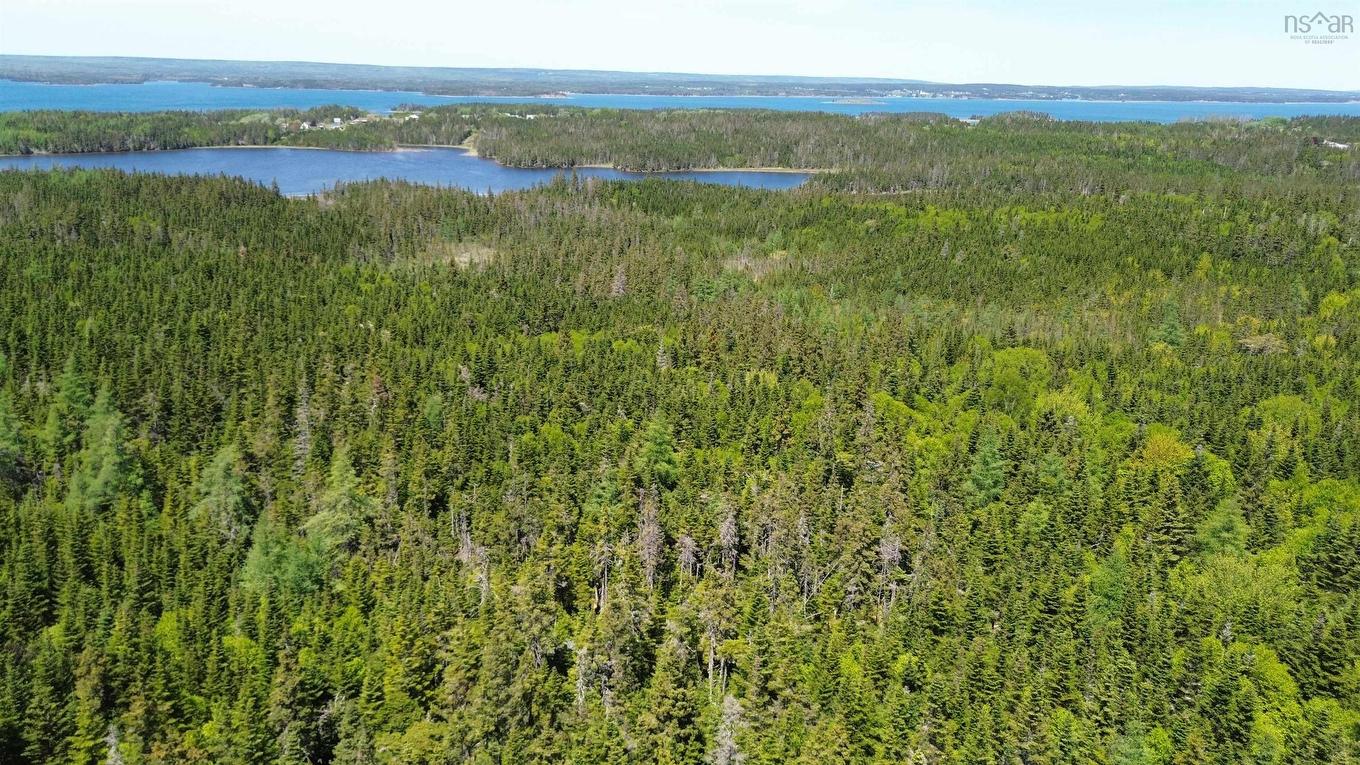 320 Highway, D'Escousse, NS