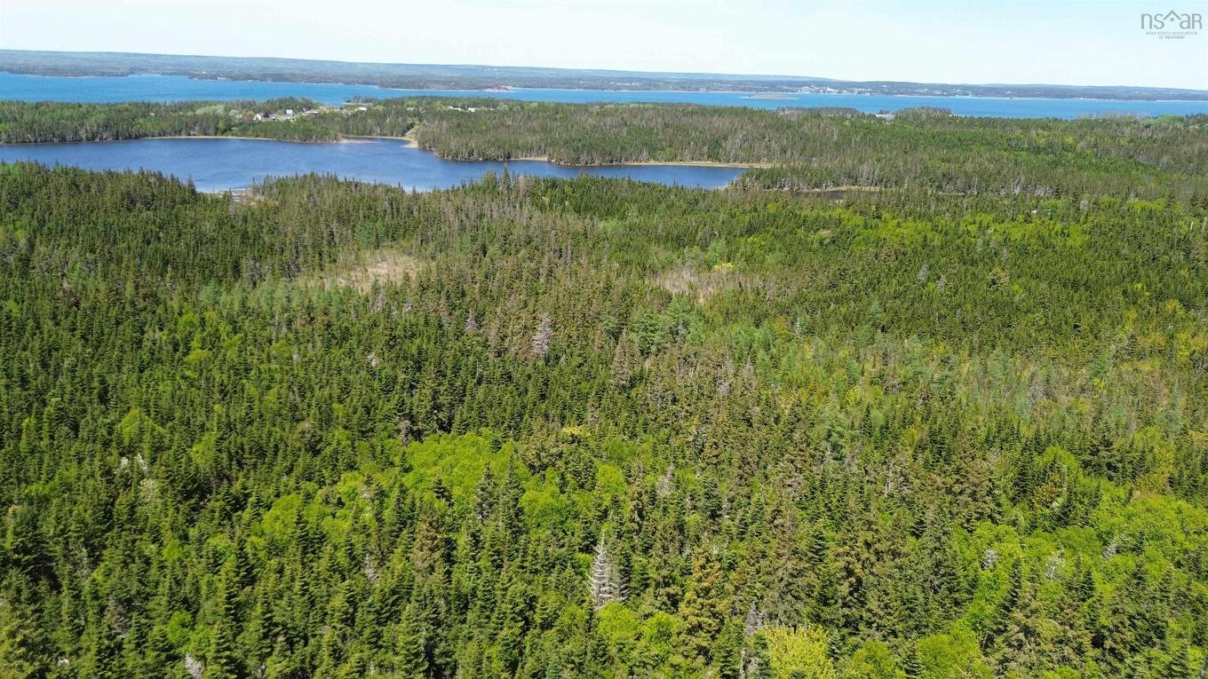 320 Highway, D'Escousse, NS