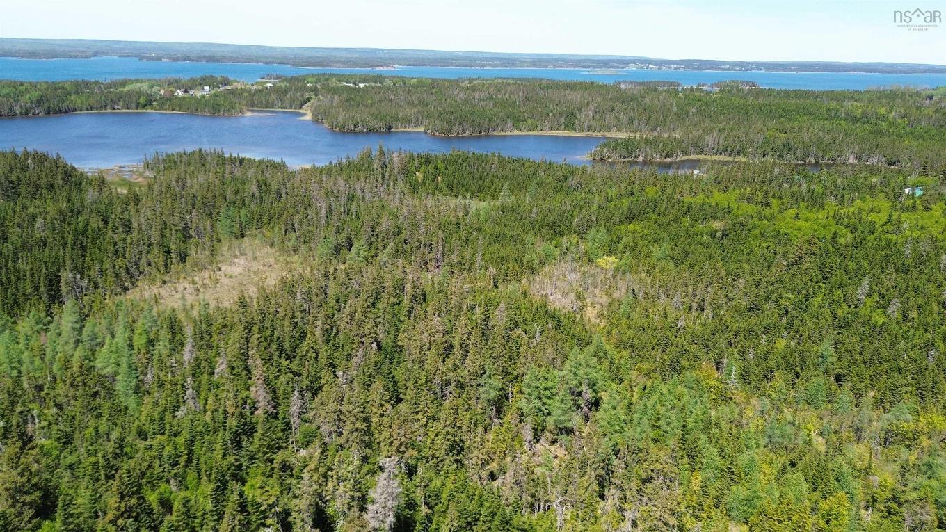 320 Highway, D'Escousse, NS