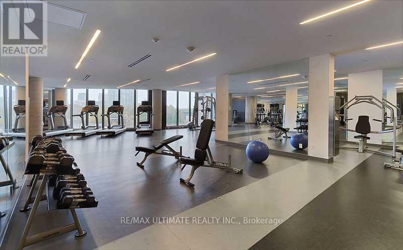 412 - 51 East Liberty Street, Toronto, ON - Indoor Photo Showing Gym Room