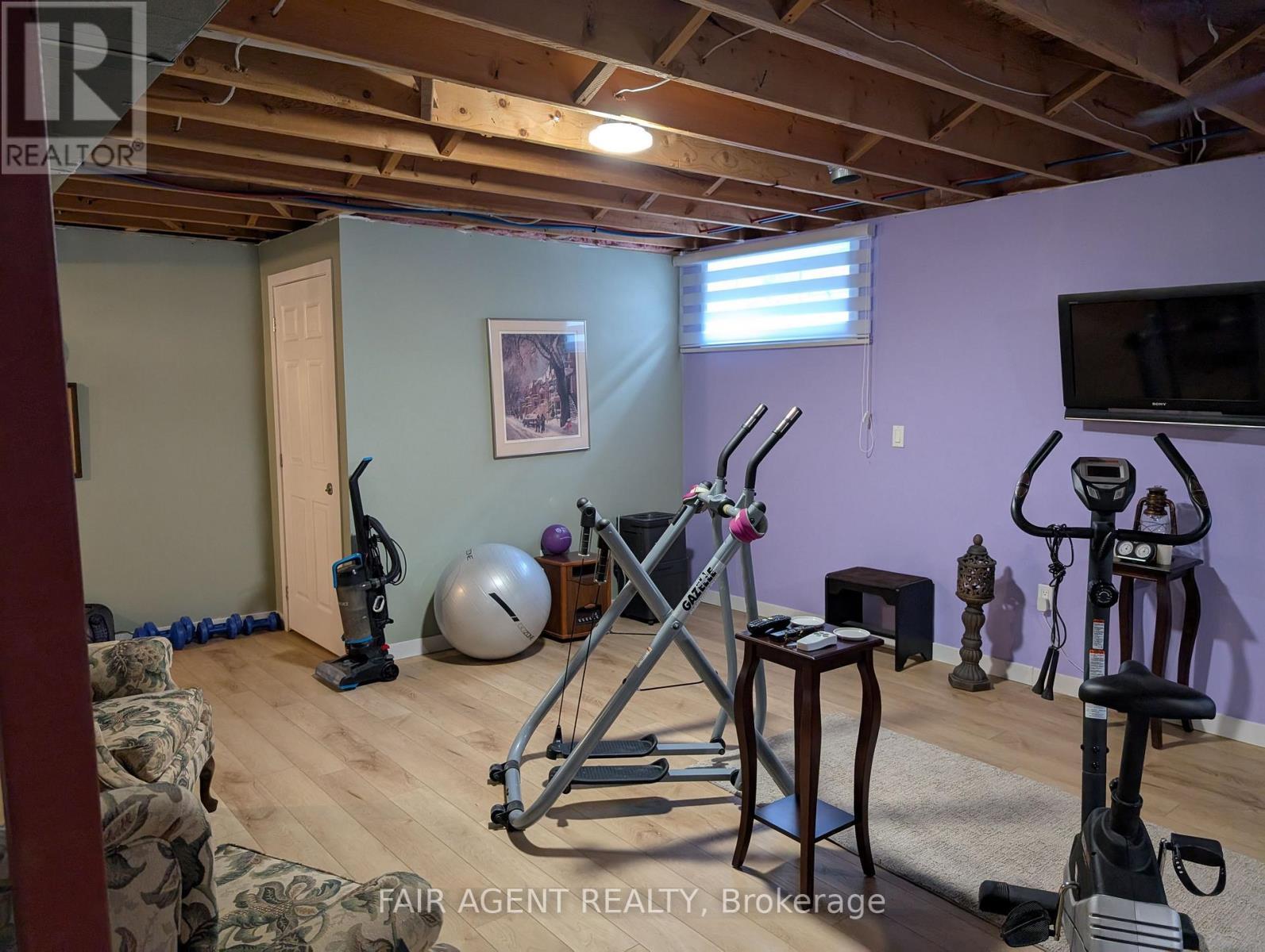 110 Milton Seiler Crescent, Minto, ON - Indoor Photo Showing Basement