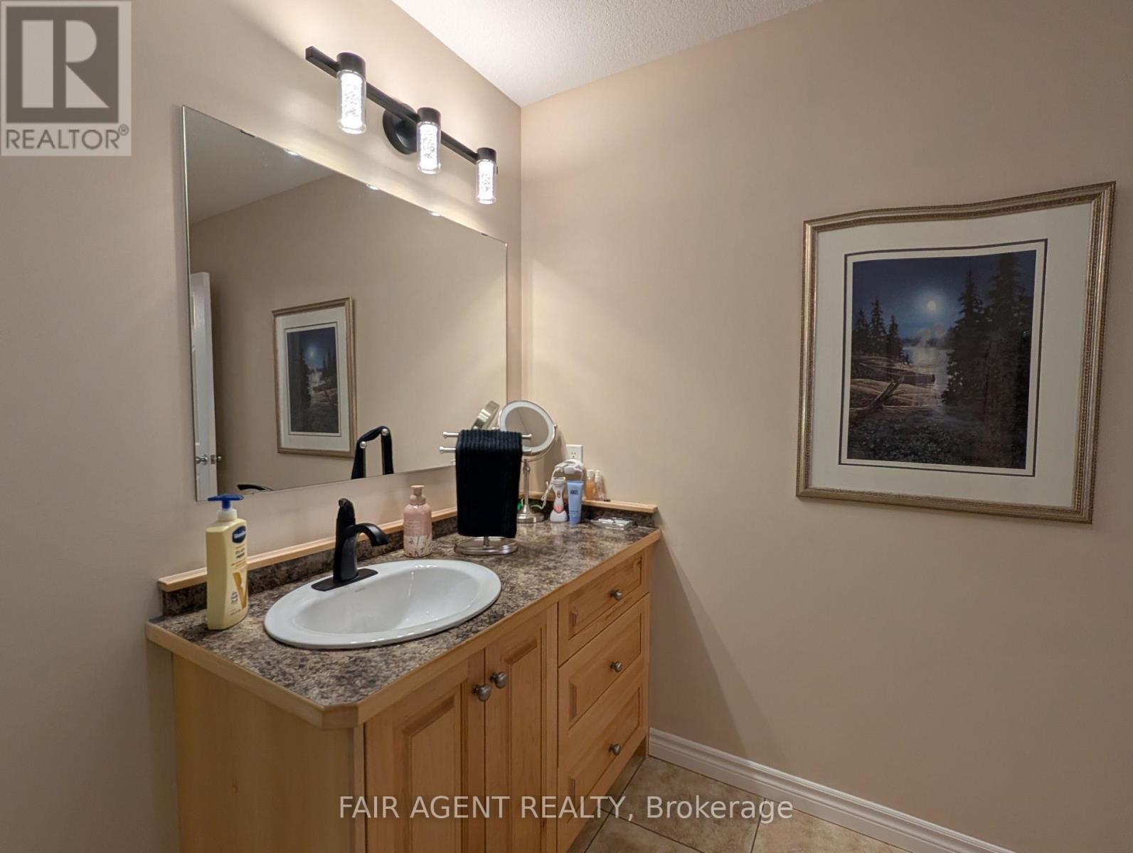 110 Milton Seiler Crescent, Minto, ON - Indoor Photo Showing Bathroom