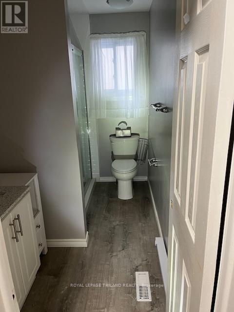 Main - 46 Wellesley Crescent, London East (East I), ON - Indoor Photo Showing Bathroom