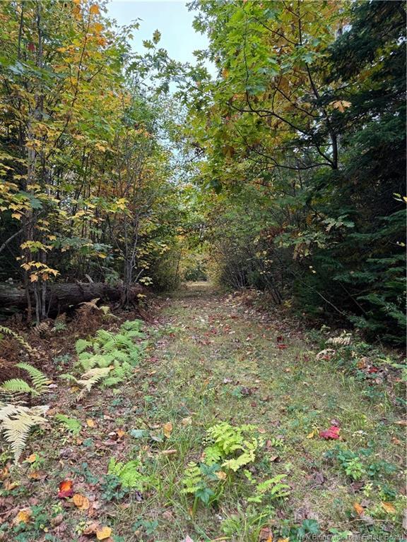 Lot 12-4 Wegesegum Rd, Long Creek, NB